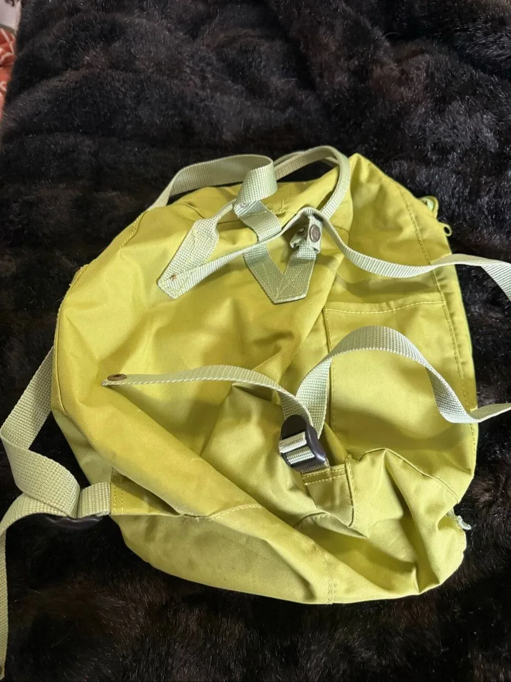 Fjallraven Unisex Kanken Laptop Backpack, Yellow green bag